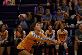 Image result for Beacon Volleyball Club