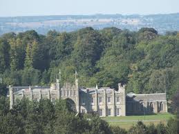 Image result for Castle Donington Juniors F C