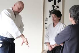 Image result for Ellis Schools of Traditional Aikido