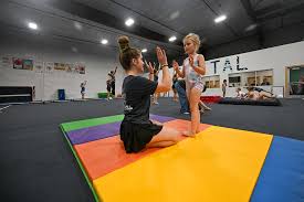 Image result for Fish trampoline and gymnastics club