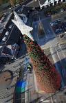 The largest Christmas tree in UK CCTV News - CNTV English english.cntv.cn 