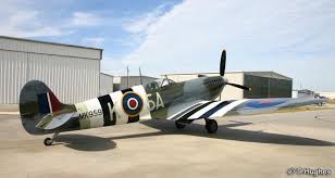 Image result for SPITFIRE SAMBO CLUB
