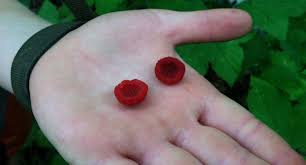Attēlu rezultāti vaicājumam “Rubus parviflorus fruit”