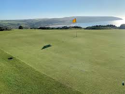 Image result for Cardigan Golf Club