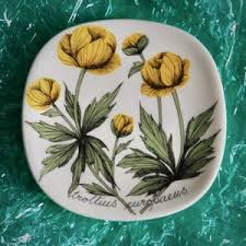 Attēlu rezultāti vaicājumam “Trollius europaeus leaf”