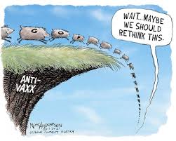 Image result for sheeple