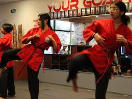 Image result for Professional  Martial Arts Academy