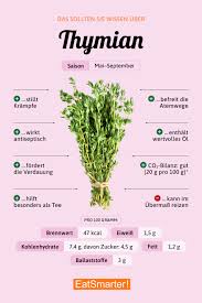 Image result for Thymian