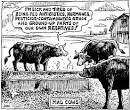 To Beef or Not to Beef: The Cattle Industry is Trampling All Over ...