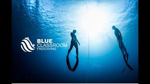Image result for Blue Water Freediving School