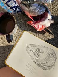 Image result for Coregonus huntsmani