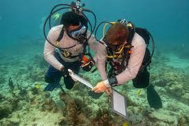 Image result for Dive Crew Scuba Diving