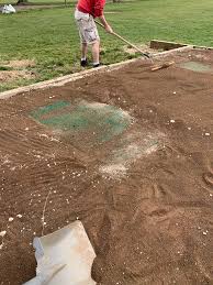 Image result for Norwich Iceni Baseball Club