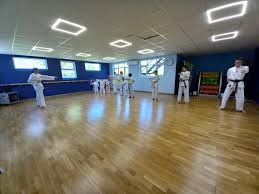 Image result for Alleyn School Of Japanese Karate