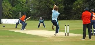 Image result for Billingham Synthonia Cricket Club