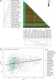 Attēlu rezultāti vaicājumam “Sanionia uncinata  sporophyte”
