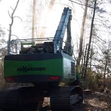 Image result for dipperfox tehron