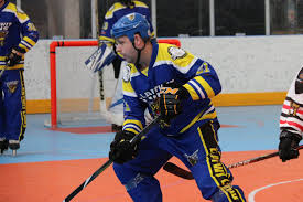 Image result for Llantwit Lions