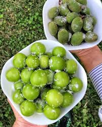 Image result for fresh green almonds