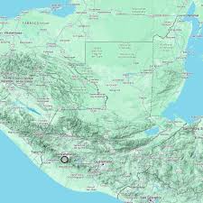 Attēlu rezultāti vaicājumam “Campylophyllum sommerfeltii”