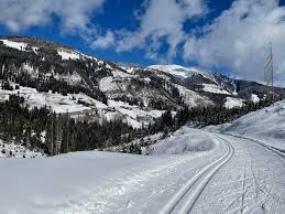 Image result for Tyneside Loipers