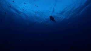Image result for Deep and Wide Diving