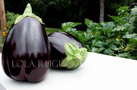 Afbeeldingsresultaat voor bianca a uovo eggplant