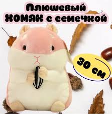 Image result for хомек