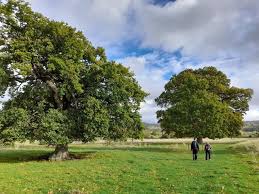 Image result for Cotswold Rambling Club