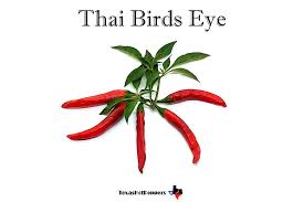 Afbeeldingsresultaat voor thai bird pepper hot pepper