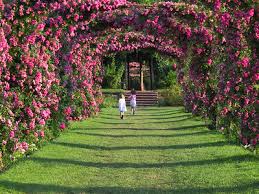 Image result for Plantation Park Bowls Club