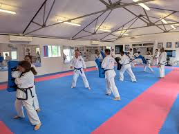 Image result for Tang Sou Dao Ren Yi Wu Kwan - Houghton & Wyton