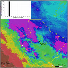Attēlu rezultāti vaicājumam “Fissidens arnoldii sporophyte”