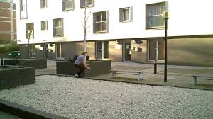 Image result for Parkour Alliance