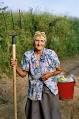 Farmer - Wikipedia, the free encyclopedia