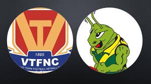 Image result for Verwood Town Netball Club