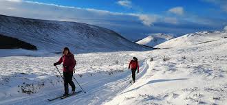 Image result for Cairngorm Snowboard Club