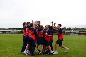 Image result for Carmarthen Wanderers Cricket Club