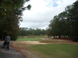 Image result for Camden Gc