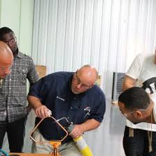 Image result for Netts