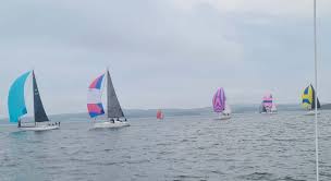 Image result for Newtownards Sailing Club