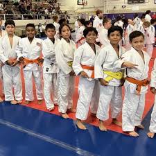 Image result for Arun Southcoast Judo Club.