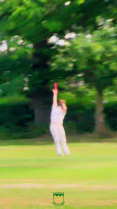 Image result for Three Bridges Cricket Club