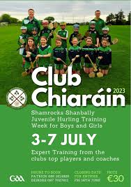 Image result for Shamrocks Hurling & Football Club