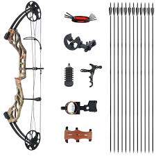 Image result for ArcheryDuns