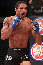 Image result for Wolverine MMA