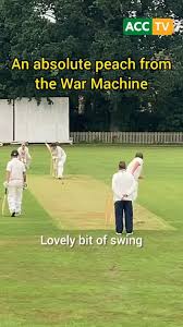 Image result for Appleton Cricket Club