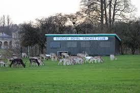 Image result for Studley Royal Cc