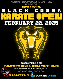 Image result for Cobra Karate Club