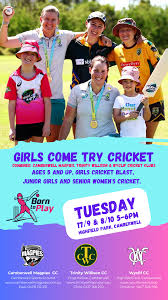 Image result for Fowey Cricket Club